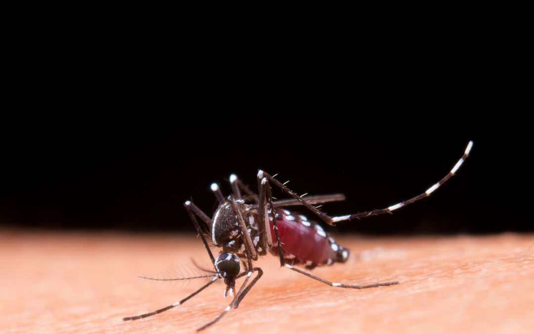 Dengue – Prevención Hidratación